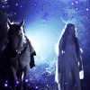 arwen4.gif